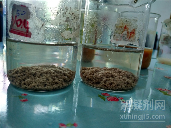 絮凝剂